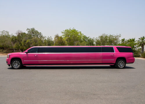Limousine Experience